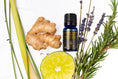 Load image into Gallery viewer, Aromatic Footbath Oil 泡脚芳疗油 10ml